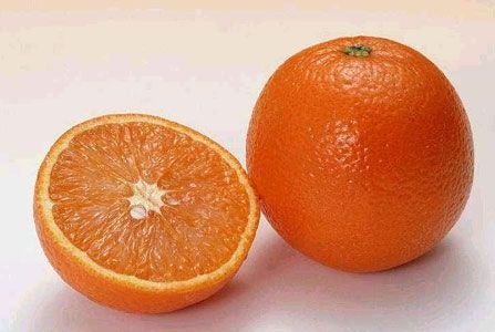 �������������кܶ�����_�����а��ֳ����Ϲ��߲˵ı�������_��;������